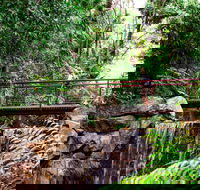 George Brown Darwin Botanic Gardens - VIC Tourism