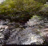 Gloucester River walking track - VIC Tourism