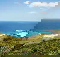 Governor Game Lookout - VIC Tourism