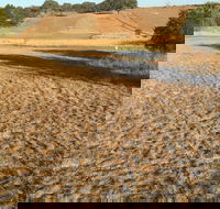 Gunning Golf Club - VIC Tourism