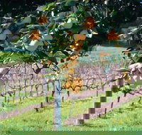 Harvey - VIC Tourism