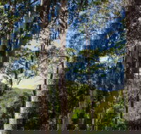 Hidden Treasure picnic area - VIC Tourism