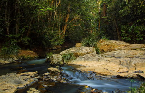 Jumrum Creek Walk, Jumrum Creek Conservation Park - VIC Tourism 0