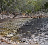 Lake Rowallan - VIC Tourism