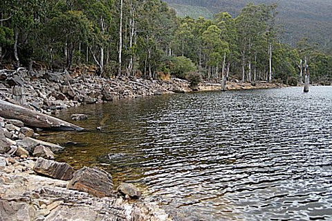 Lake Rowallan - VIC Tourism 1