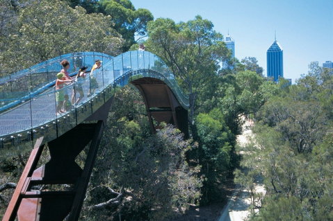 Law Walk - Kings Park - VIC Tourism 0