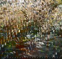 Leeuwin-Naturaliste National Park - Cowaramup - VIC Tourism