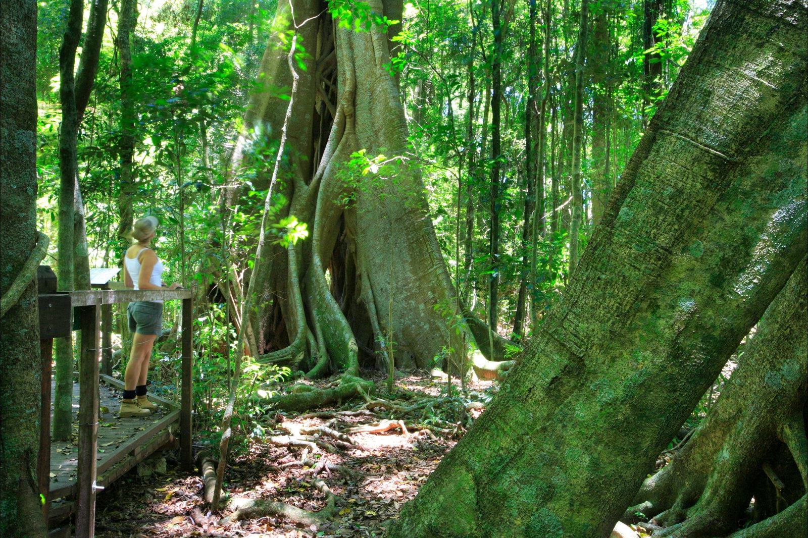 Booroobin QLD VIC Tourism