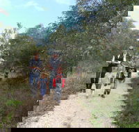 Meningie Lions Walking Trail - VIC Tourism