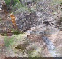 Mill-bullah Walking Track - VIC Tourism