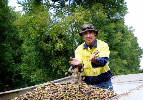 Moree - VIC Tourism 2