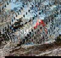 Mountain Bike Trails Deniliquin - VIC Tourism