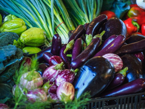 Murwillumbah Farmers' Market - VIC Tourism 1