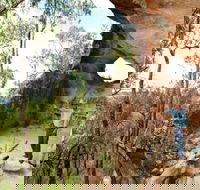 Pilliga Forest - VIC Tourism