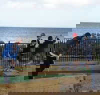 Port Vincent Putt Putt - VIC Tourism