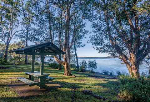 Queens Lake Picnic Area - VIC Tourism 0
