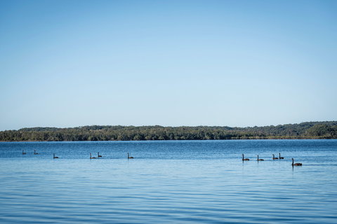 Queens Lake Picnic Area - VIC Tourism 1