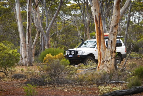 Ravensthorpe Range - VIC Tourism 0
