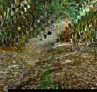 Sand track walk north - VIC Tourism