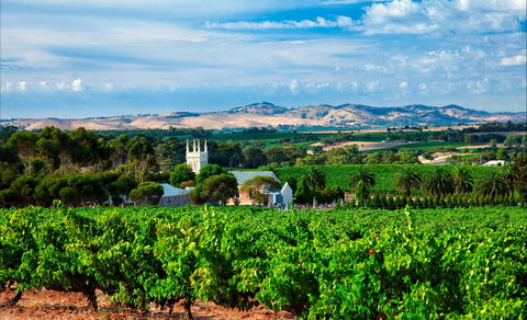 Seppeltsfield Road Barossa Valley - VIC Tourism 1