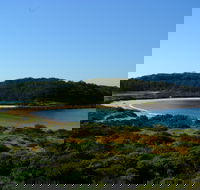 Snorkelling Broulee Island - VIC Tourism