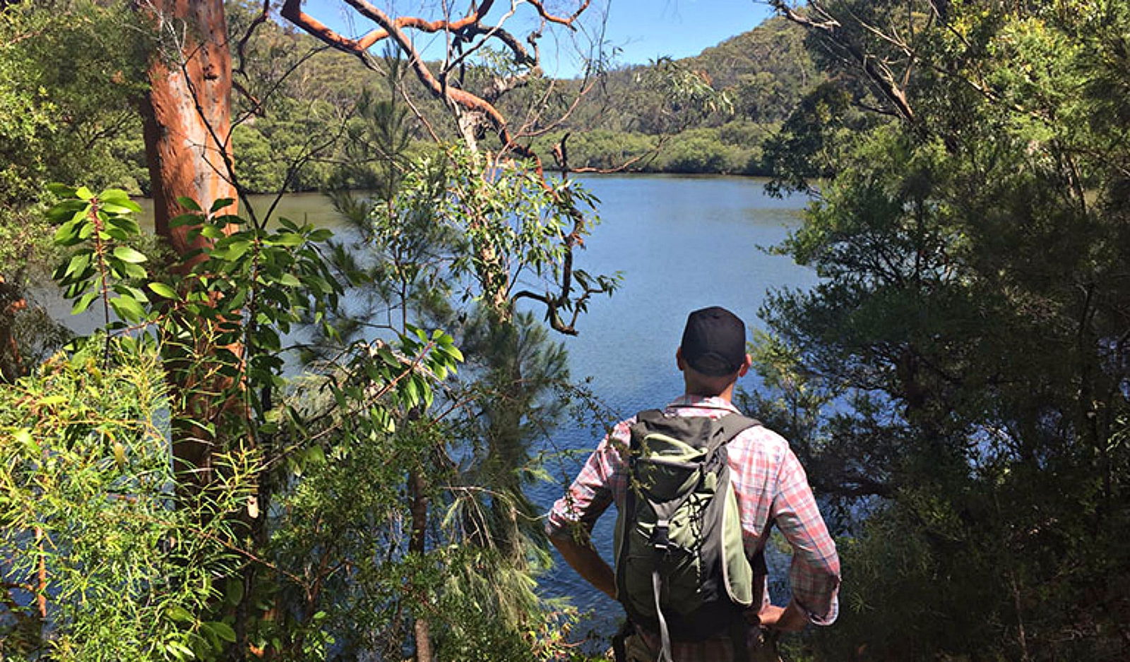 North Turramurra NSW VIC Tourism