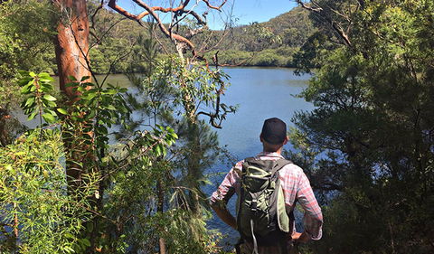 Sphinx Memorial To Bobbin Head Loop Track - VIC Tourism 0