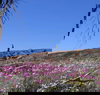 Talgomine Reserve - VIC Tourism