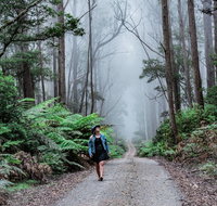 The Corn Trail Walking Track - VIC Tourism