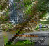 The Falls Walk Budderoo National Park - VIC Tourism