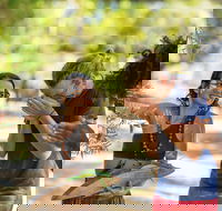 Tjapukai Aboriginal Cultural Park - VIC Tourism
