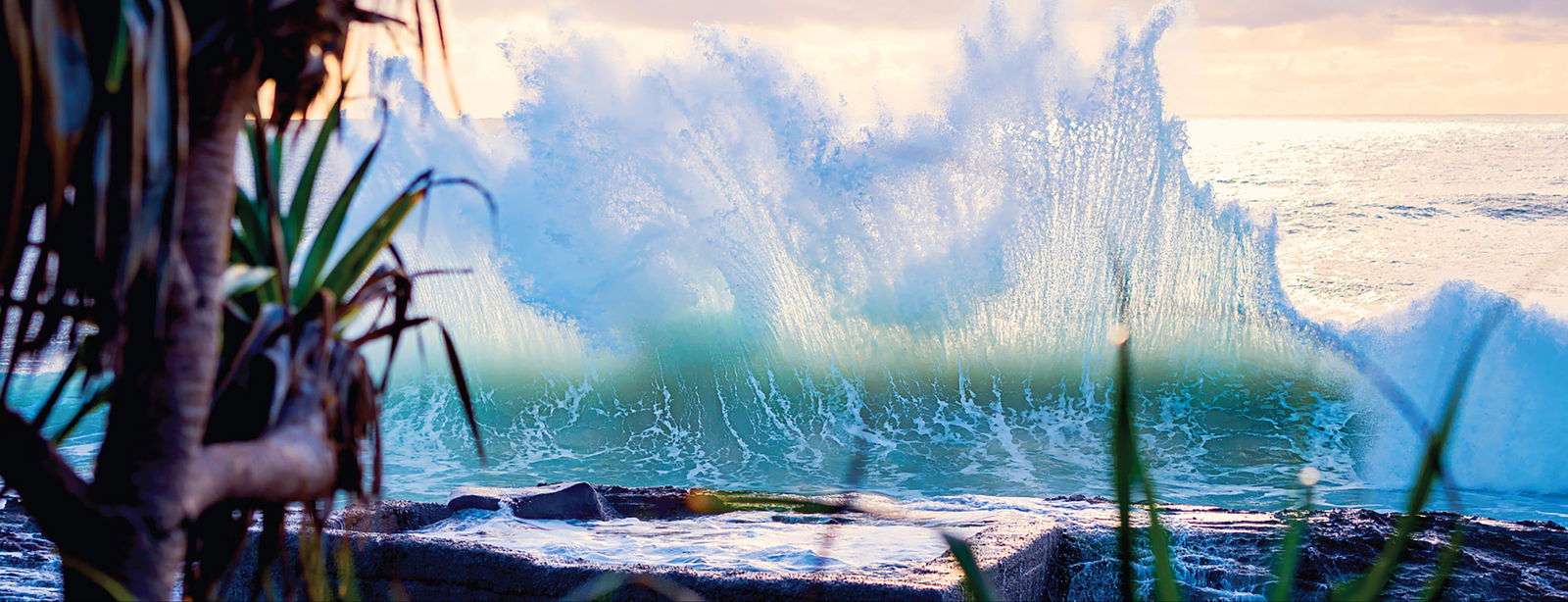 Tugun QLD VIC Tourism