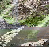 Twin Falls Circuit Springbrook National Park - VIC Tourism