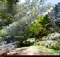 Wadbilliga Road drive - VIC Tourism