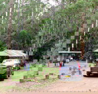 Wallingat Forest Drive - VIC Tourism