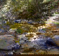 Washpool Walking Track - VIC Tourism