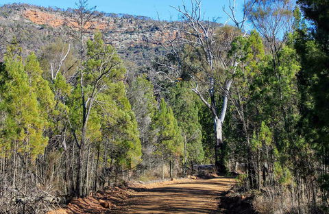 Weddin Gap To Black Spring Loop Trail - VIC Tourism 0