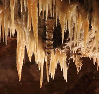 Wollondilly Cave - VIC Tourism