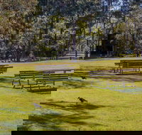 Wombeyan picnic area - VIC Tourism