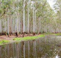 Wonga Wetlands - VIC Tourism