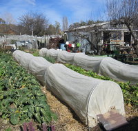 Wynlen House Tour a Unique Urban Regenerative Farm and Market Garden - VIC Tourism