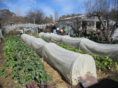 Wynlen House: Tour A Unique Urban Regenerative Farm And Market Garden - VIC Tourism 0