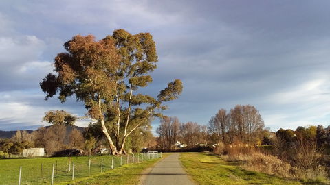 Adelong Falls Walk - VIC Tourism 0