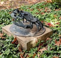 Antony Symons - Retrospective of a Life's Work - VIC Tourism