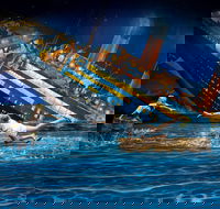 ArtVo Illusions - VIC Tourism