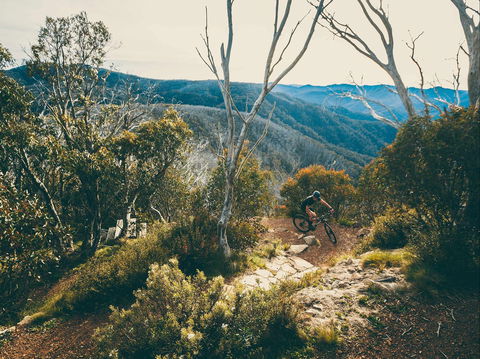 Australian Alpine Epic Mountain Bike Trail - VIC Tourism 1
