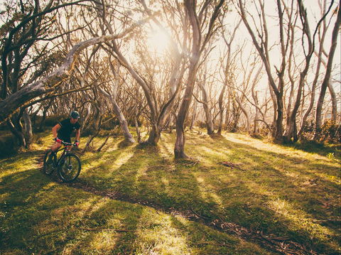 Australian Alpine Epic Mountain Bike Trail - VIC Tourism 2