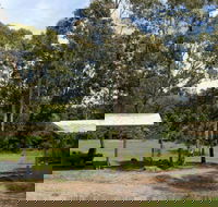 Back Creek picnic area - VIC Tourism