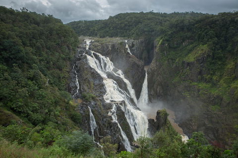 Barron Falls Lookout Track, Barron Gorge National Park - VIC Tourism 0