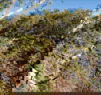 Boonoo Boonoo Falls picnic area - VIC Tourism